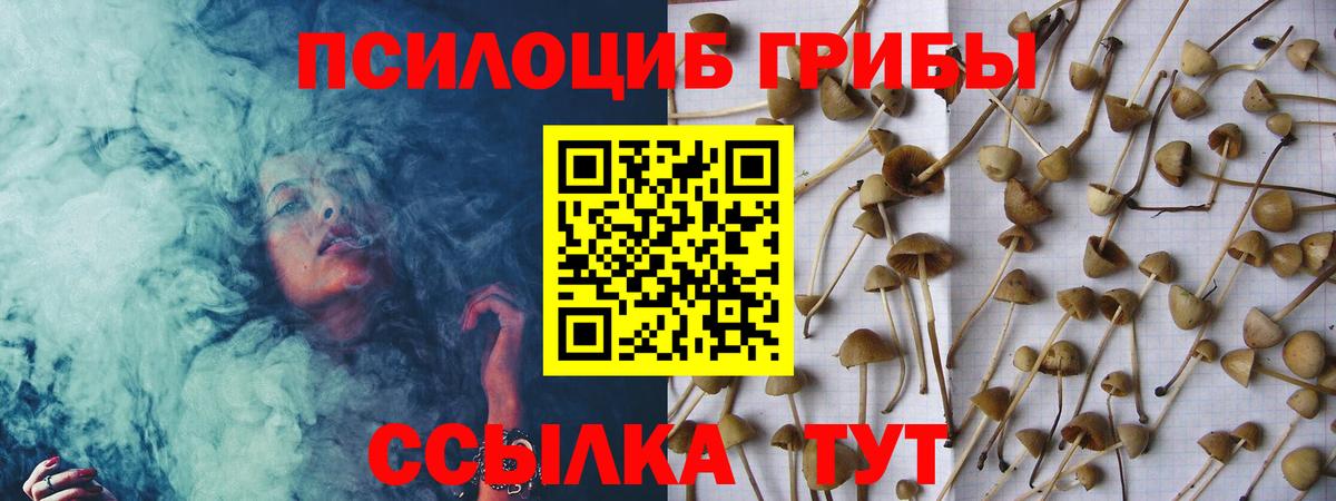 Галлюциногенные грибы Magic Shrooms  Галлюциногенные грибы прущие грибы  Вход с VPN  Лянтор 